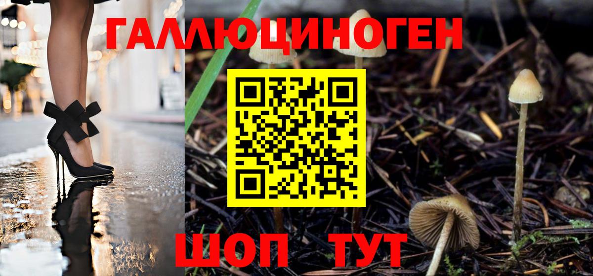Псилоцибиновые грибы MAGIC MUSHROOMS  Вход с VPN  Серов 