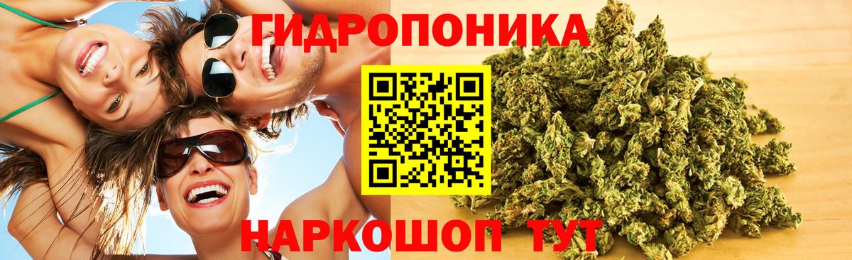 Серов  Бошки марихуана планчик  Канабис конопля  Конопля планчик  Вход с VPN 